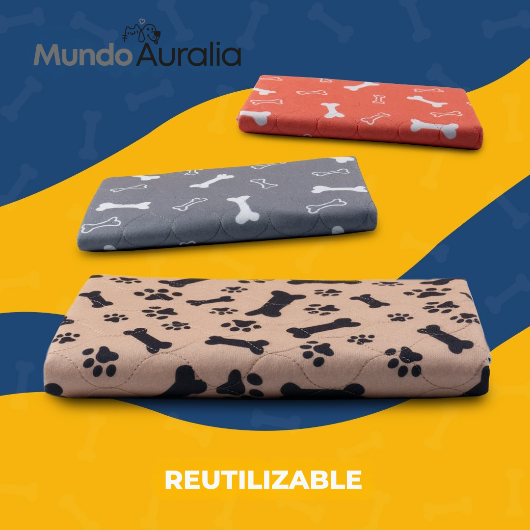 MiPupyClean ™ Reutilizable