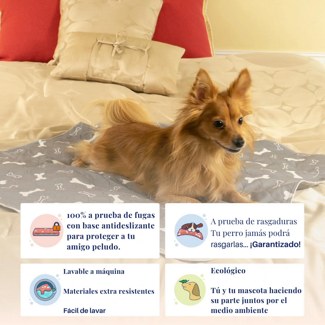 MiPupyClean ™ Reutilizable