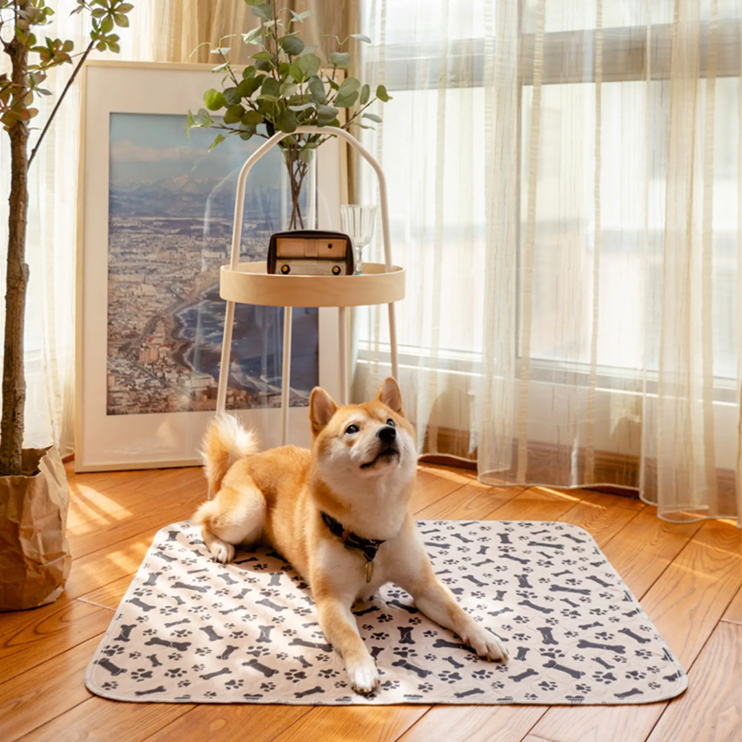 MiPupyClean ™ Reutilizable