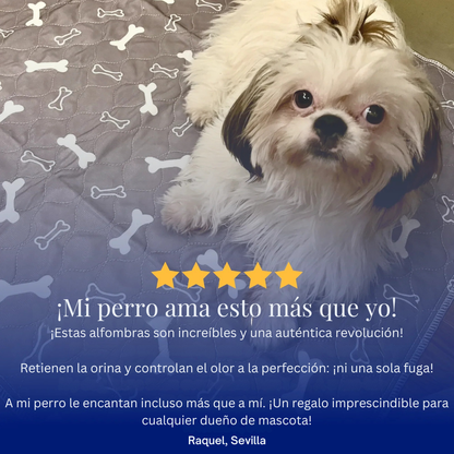 MiPupyClean ™ Reutilizable