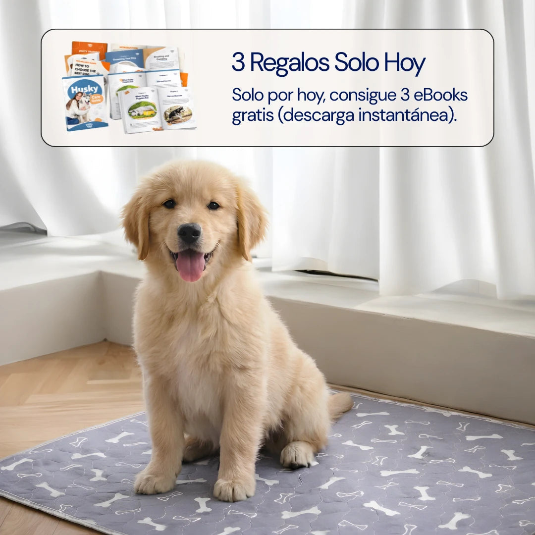 MiPupyClean ™ Reutilizable